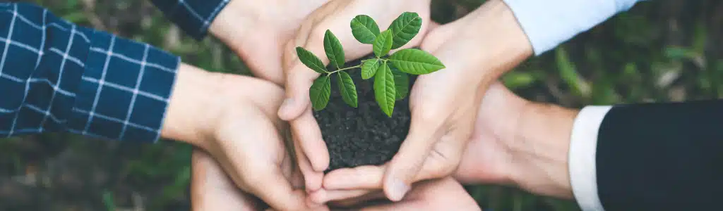 RSE sans greenwashing