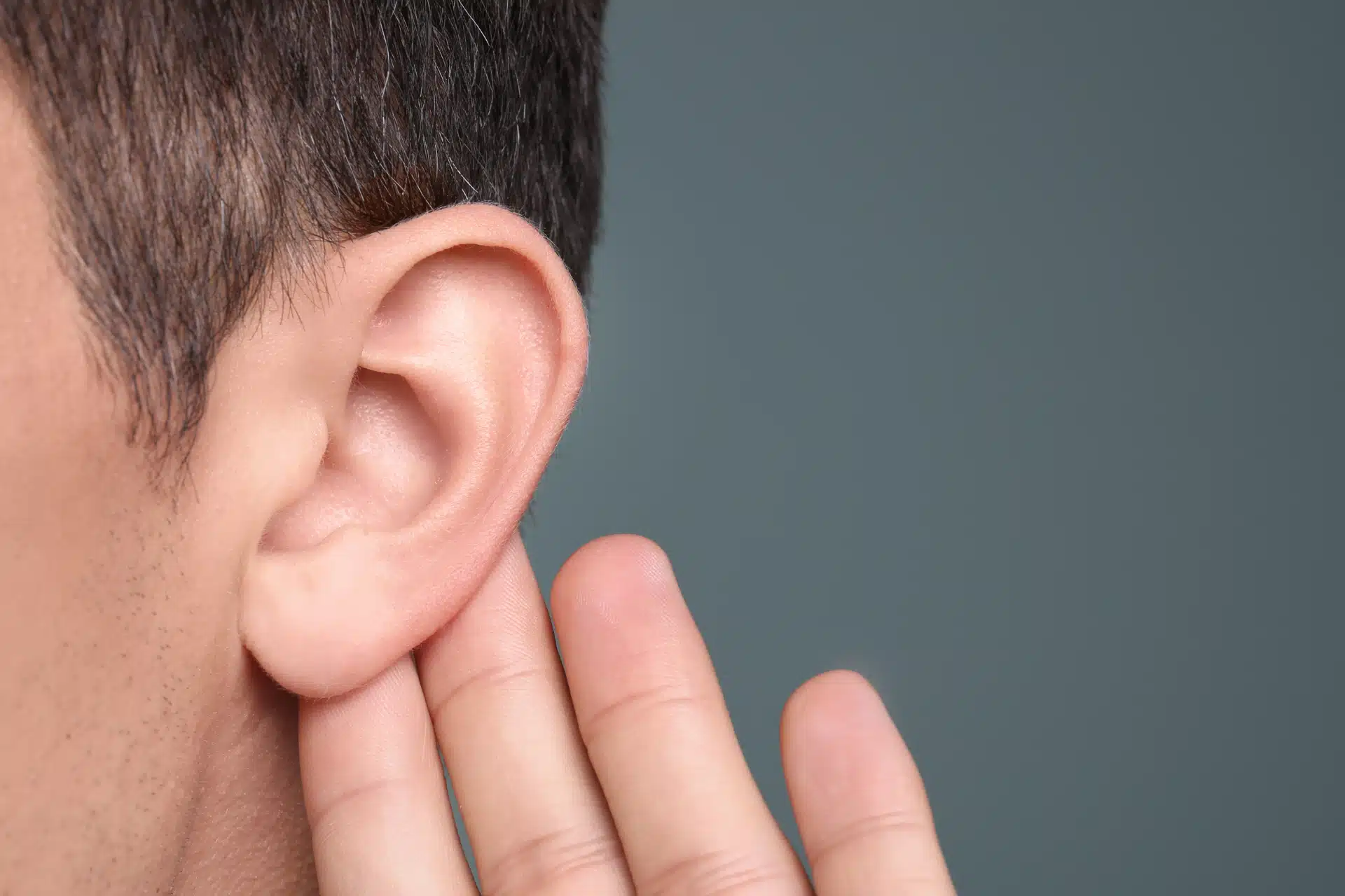 programmes de parrainage